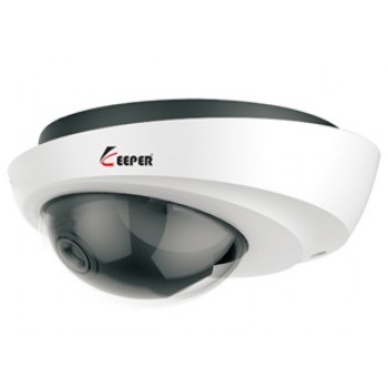 CAMERA KEEPER NPA-130W IP